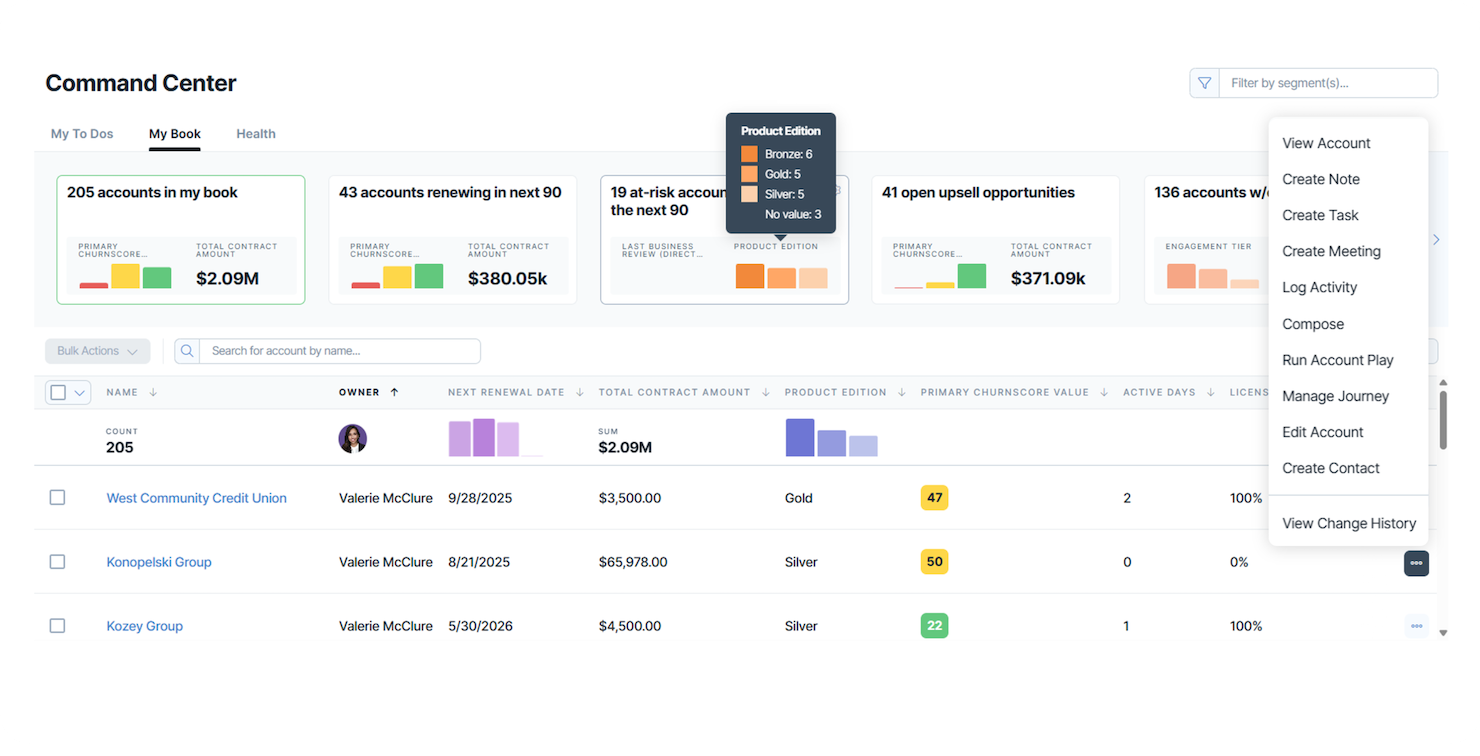 ChurnZero screenshot - 10 Mejores Herramientas de Análisis de la Experiencia del Cliente para 2026
