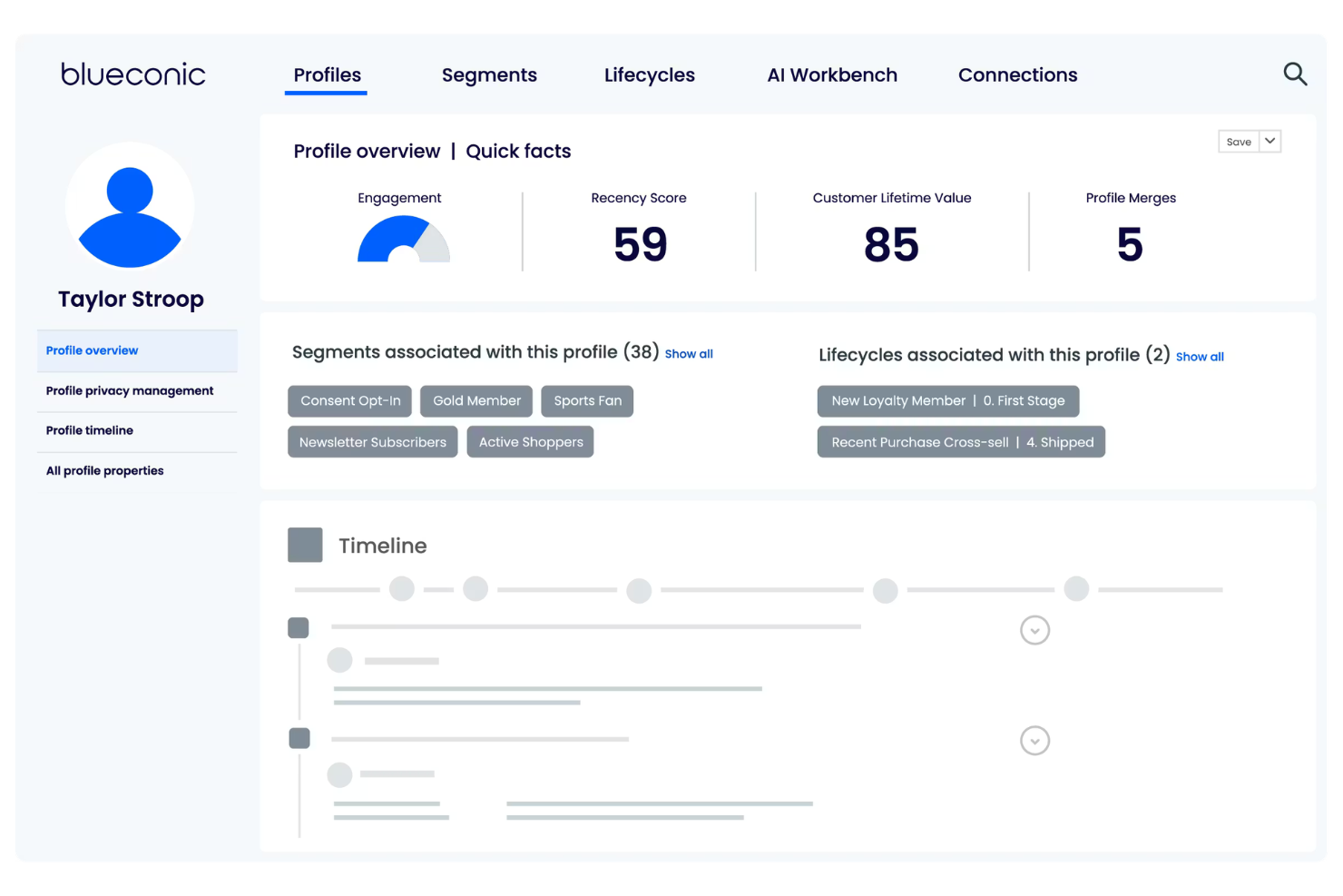 BlueConic screenshot - 10 AI Customer Experience Personalization Tools in 2026
