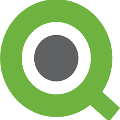 Qlik