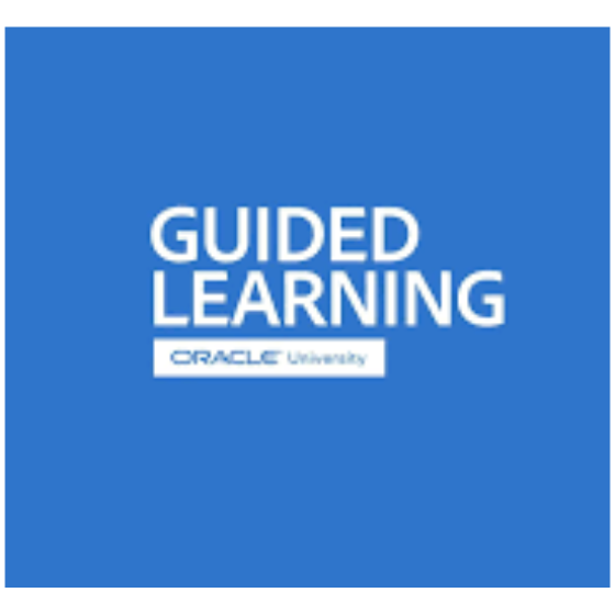 Oracle Guided Learning